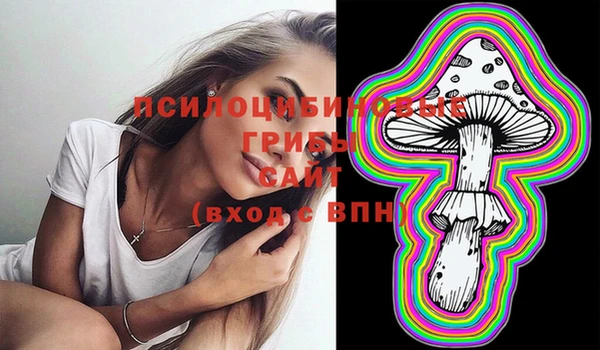 ГАЛЛЮЦИНОГЕННЫЕ ГРИБЫ Белоозёрский