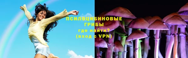 ПСИЛОЦИБИНОВЫЕ ГРИБЫ Беломорск