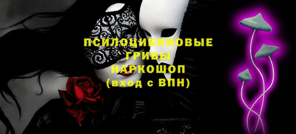 ПСИЛОЦИБИНОВЫЕ ГРИБЫ Беломорск