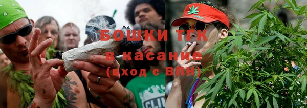 шишки Богданович